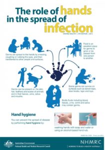 The Role of Hands in the SPread of Infection poster by Australian National Health and Medical Research Council